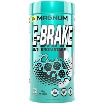 E-Brake